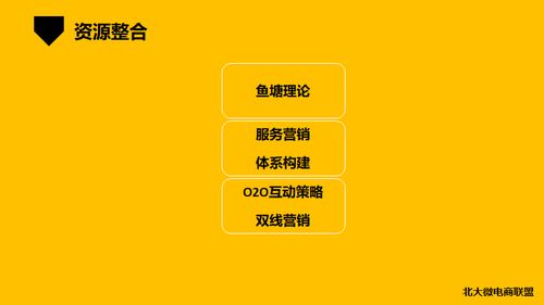 北大微电商联盟 移动互联时代的企业IP与品牌营销新范式